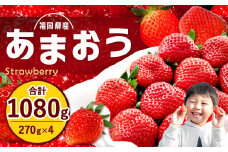 福岡県産 あまおう 計1080g (270g×4パック) いちご 苺