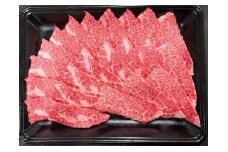 A4～A5限定 九州産黒毛和牛上カルビ400g 和牛 牛肉 国産