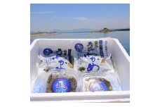 北九州 藍島産 海藻 セット 天然わかめ あかもく 計720g 肉厚
