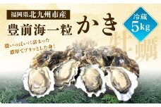 【配送不可地域あり】【配達日時指定必須】産地直送！ 生食 豊前海一粒かき（5kg） 江口商店  【限定30セット】牡蠣 生牡蠣 ブランド 一粒牡蠣 濃厚