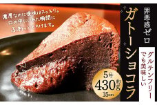 罪悪感ゼロ グルテンフリーでも美味しいガトーショコラ