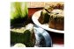 【特別セット】ガトーショコラ・抹茶ガトーショコラ セット