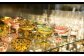 フランス料理 特別フルコース 料理引換券（1名様）コース料理 フレンチ【サンテミリオン】