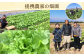 元大使館料理人が作る！瑛翔楼 「匠印」 豚まん 5個入×2パック 計10個 大豆油使用 ヘルシー 低脂質 高タンパク