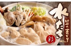 はかた一番どり 水炊き セット 彩 (とりがらスープ・おろしポン酢付き)