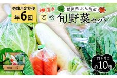 【奇数月定期便年6回】新鮮 直送 若松旬野菜セット 定期便 採れたて 旬野菜