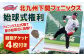 北九州下関フェニックス 始球式 権利 （観戦チケット 4枚付き）