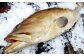 幻の 高級魚 を北九州の海から新鮮にお届け！ クエ刺 ・ 鍋 セット （30cm）