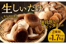 北九州市産 生しいたけ 「普段使いにピッタリセット」 約1.7kg 椎茸