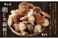 北九州市産 生しいたけ セット 5種 椎茸 きのこ