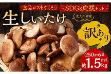 【訳あり】北九州市産 生しいたけ 「食品ロスをなくそうSDGs応援セット」250g×6袋 約1.5kg