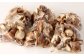 【訳あり】北九州市産 生しいたけ 「食品ロスをなくそうSDGs応援セット」250g×6袋 約1.5kg