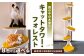 キャットタワー フォレスト W430×D430×H1840