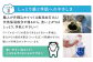 手洗いせっけんバブルガードつめかえ9個セット(シャボン玉石けん)