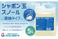 シャボン玉スノール 5L（大容量用キャップ付き）液体タイプ 洗濯 洗剤 詰替