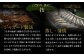 【 3ヶ月定期便】鰻天屋の 九州産 うなぎ 蒲焼 約140g×2尾 セット