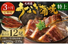 【3ヶ月定期便】九州産 うなぎ 蒲焼 特上 4尾(1尾あたり220～235g)