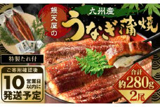 鰻天屋の九州産うなぎ 蒲焼 約140g×2尾 セット