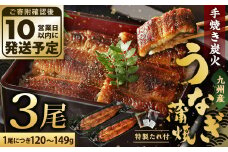 九州産 手焼き 炭火 うなぎ 蒲焼 3尾 計360g以上 (1尾あたり120～149g)