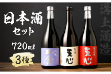 溝上酒造　日本酒セット(1)（720ml×3本）日本酒 酒