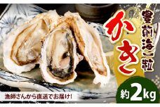 北九州産 豊前海一粒かき 2kg 牡蠣 生牡蠣 かき