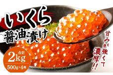 イクラ 醤油漬け 500g×4箱 鱒いくら 計2000g いくら