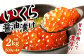 イクラ 醤油漬け 500g×4箱 鱒いくら 計2000g いくら