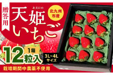 【栽培期間中農薬不使用】 天姫 （あまひめ） イチゴ 【贈答用】（3L～4Lサイズ）12粒入り 1箱　