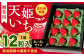 【栽培期間中農薬不使用】 天姫 （あまひめ） イチゴ （3L～4Lサイズ）