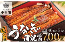 本格 備長炭 中村屋 鹿児島産 鰻 蒲焼 5尾 うなぎ