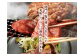本格備長炭中村屋 訳あり 牛タン 関門の塩味 500g タン 冷凍