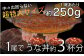 本格 備長炭 中村屋 鹿児島産 特大 鰻蒲焼 2尾 うなぎ