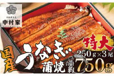本格 備長炭 中村屋 鹿児島産 特大 鰻 蒲焼 3尾 うなぎ