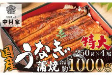 本格 備長炭 中村屋 鹿児島産 特大 鰻 蒲焼 4尾 うなぎ