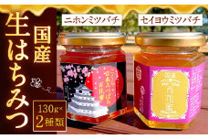 国産 生はちみつ 詰め合わせ 計260g (130g × 2種類 ) ニホンミツバチ・セイヨウミツバチ セット 蜂蜜 はちみつ ハチミツ