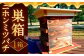 ニホンミツバチ 巣箱 1セット ミツバチ ハチ 蜜蜂 蜂 蜂蜜 はちみつ ハチミツ
