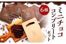 ミニ チョコ 6種 コンプリート セット 食べ比べ チョコレート