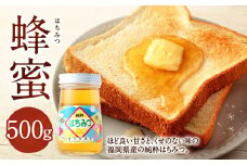 蜂蜜 500g 福岡県産 はちみつ 純粋 ハチミツ 国産 日本産