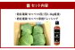 【期間限定】 若松潮風🄬 キャベツセット ( キャベツ 4玉 ＋ 専用 ドレッシング ) 野菜 生野菜 新鮮 国産