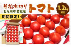 【期間限定】 若松水切りトマト 1.2kg 程度（16～30玉）【2025年4月上旬～5月下旬発送予定】糖度9度基準 野菜 生野菜 新鮮 国産 とまと トマト