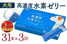 【3ヶ月定期便】 高濃度 水素ゼリー 犬用 31本入り × 3回 (1本5g) 水素 ゼリー ごはん おやつ 犬 愛犬 健康食品 サプリ ヨーグルト風味 持ち運び 携帯 ペット