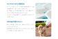 【3ヶ月定期便】 高濃度 水素ゼリー 犬用
