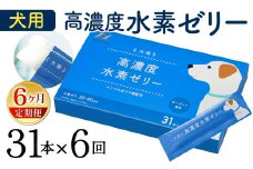 【6ヶ月定期便】 高濃度 水素ゼリー 犬用 31本入り × 6回 (1本5g) 水素 ゼリー ごはん おやつ 犬 愛犬 健康食品 サプリ ヨーグルト風味 持ち運び 携帯 ペット