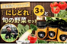 自家製 ドレッシング 「にじどれ」 3本 と 旬の野菜 セット 野菜 サラダ 調味料 北九州市産