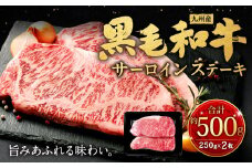 九州産 黒毛和牛 サーロインステーキ 約500g (約250g×2枚) 牛肉 国産 ステーキ