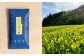 八女市産 星野園 特選煎茶 とくめゴールド (100g×5袋) 合計500g