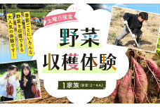 北九州市 野菜収穫体験 1家族(目安：2～4人) 【収穫可能期間 4月～8月 】 野菜 夏野菜 農家 農業体験 休日 体験 畑 収穫 チケット 福岡県 【土曜日限定】