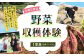 北九州市 野菜収穫体験 1家族(目安：2～4人) 