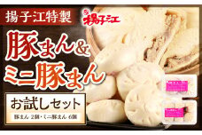 揚子江 の 豚まん 大・小 お試し セット (豚まん×2個、ミニ豚まん×6個) 人気の豚まん 計8個のお手頃セット！ 2種類 食べくらべ 中華 点心 中華まん