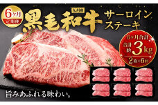 【6ヶ月定期便】 九州産 黒毛和牛 サーロインステーキ 合計約3kg (約250g×2枚×6回) 牛肉 国産 ステーキ サーロイン 牛肉 お肉 国産 日本産